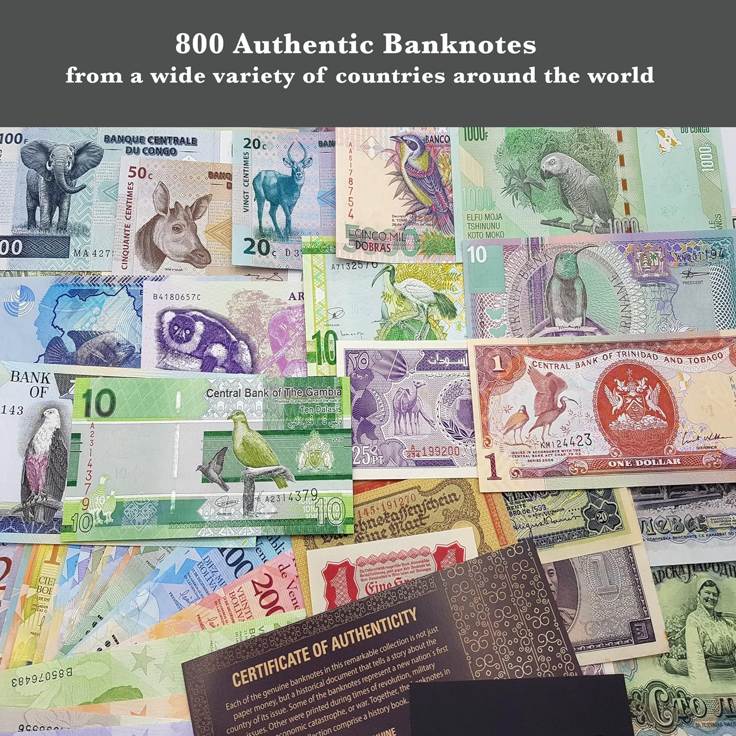 World Currency Collection – 800 Different World Banknotes