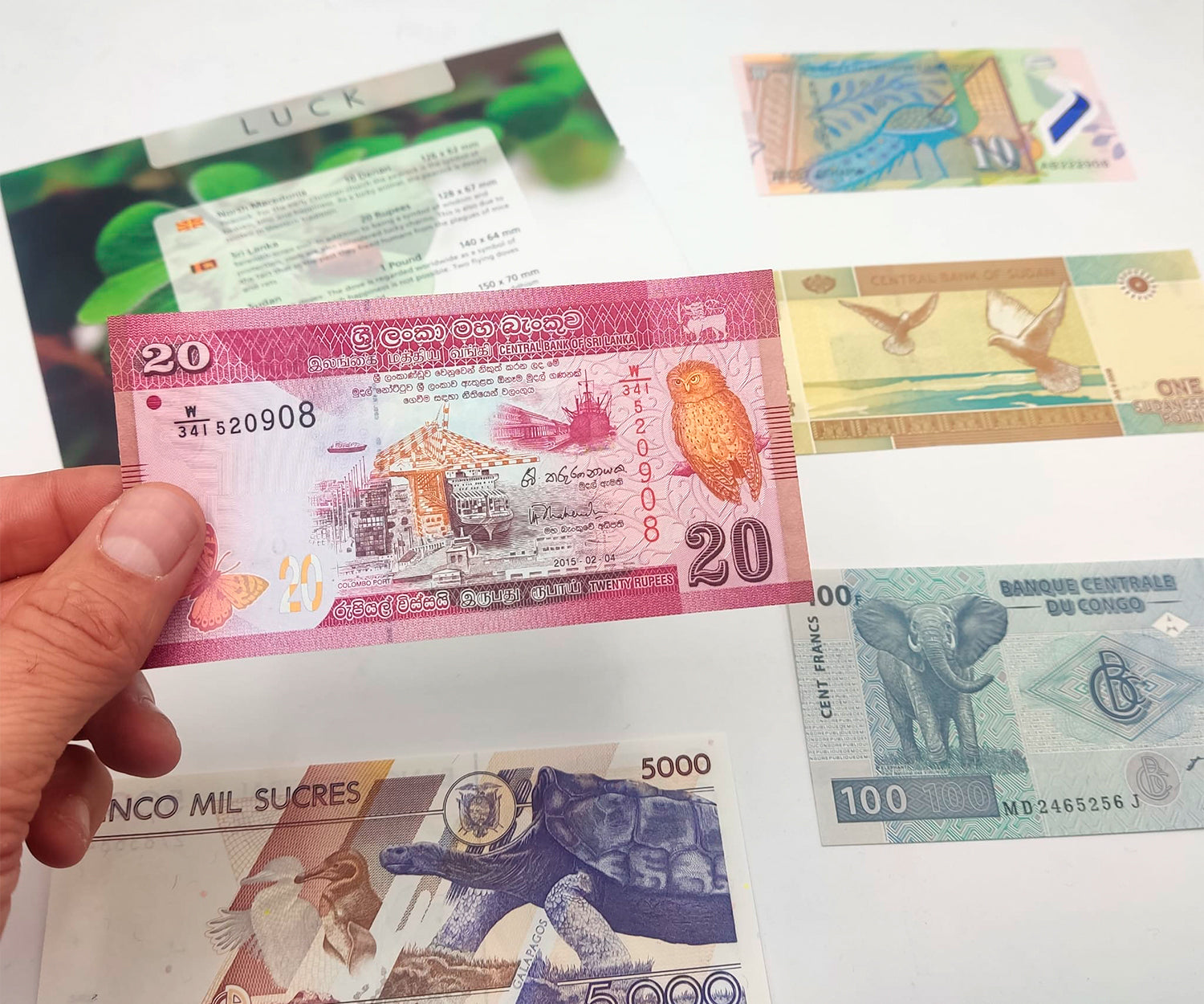 World Banknotes – Collection of 5 Authentic Lucky Notes