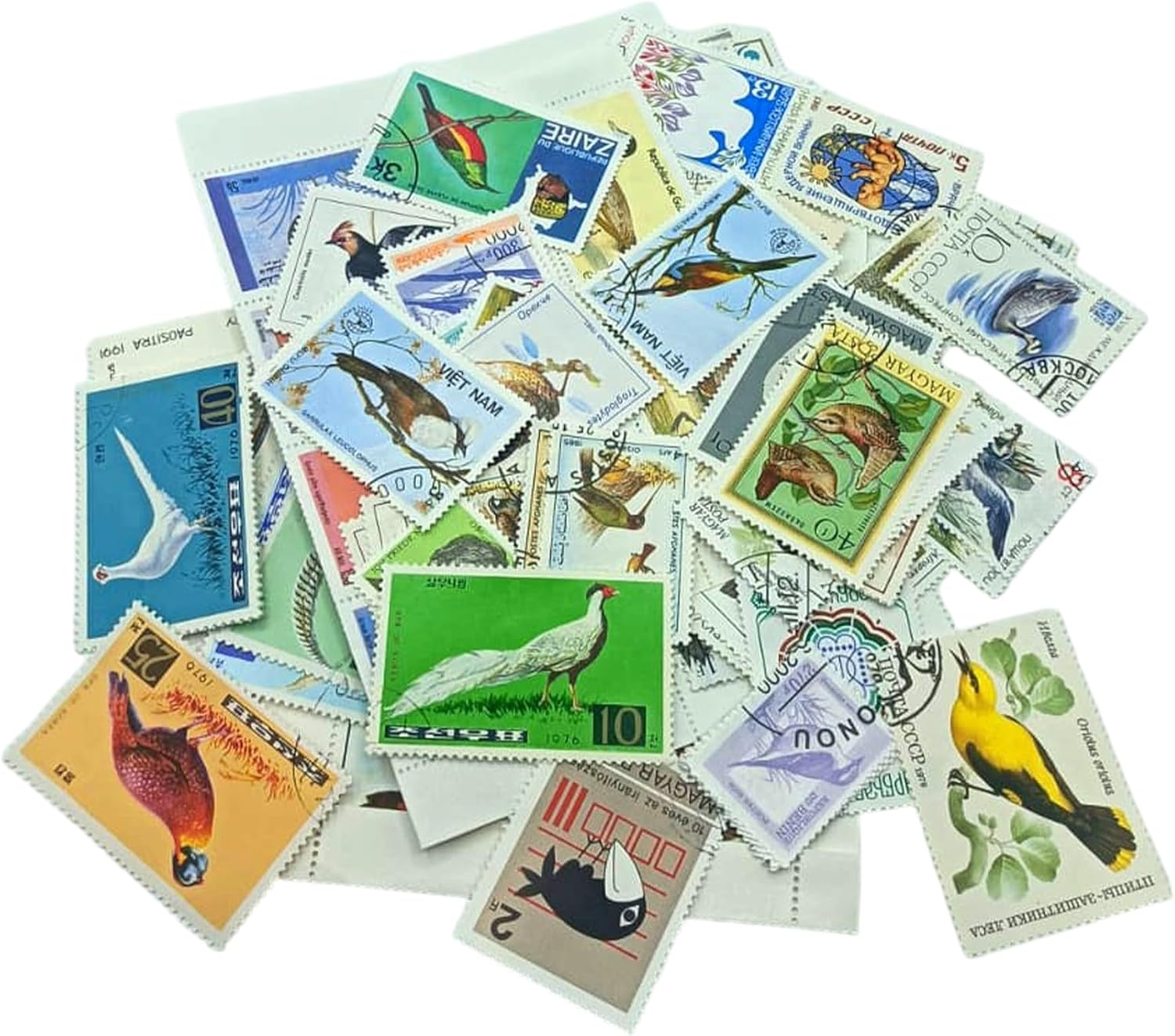 100 Bird Stamps Collection | Collector Album Included