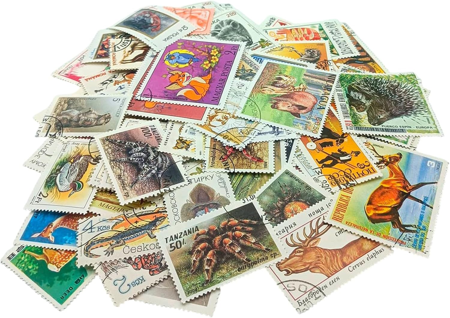 100 Animal Stamps Collection | Collector Album Included