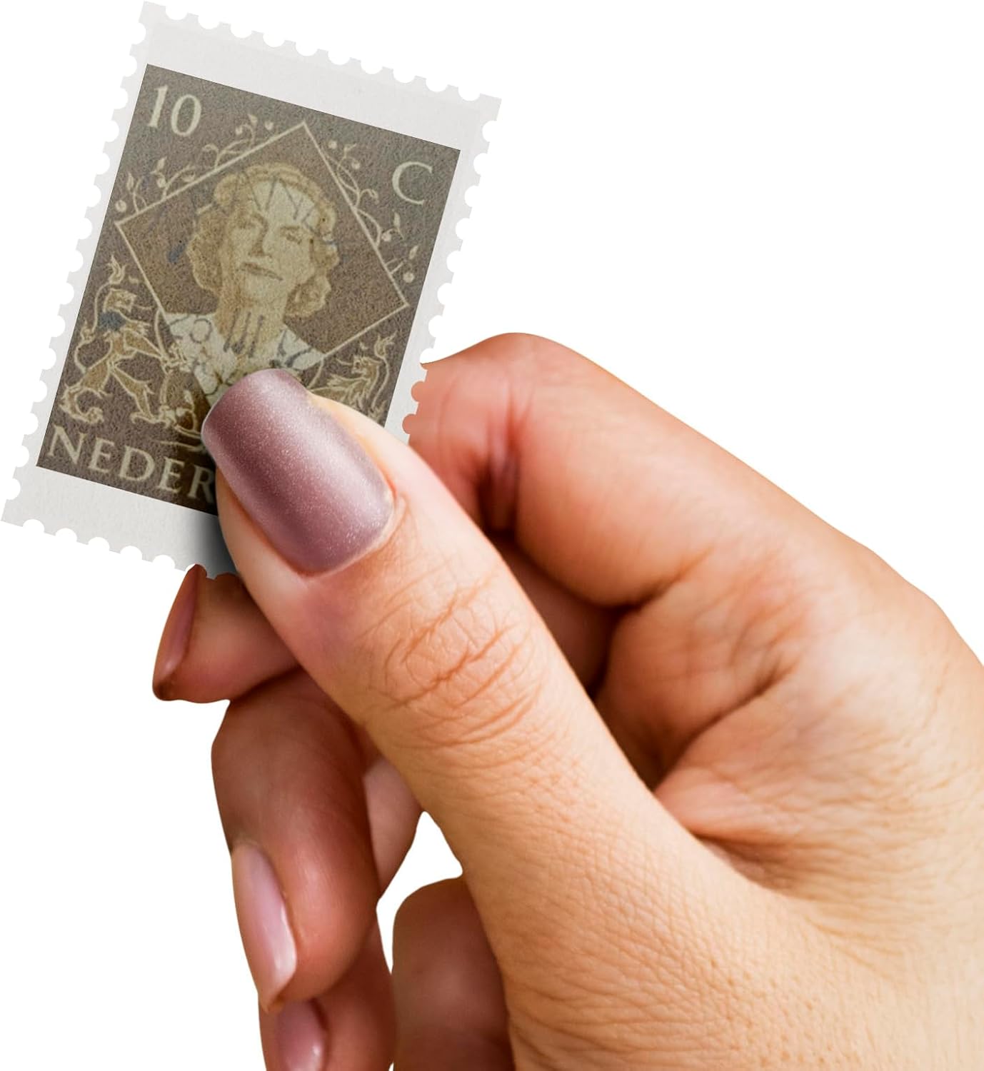 1000 World Stamps Collection | Collector Album Included