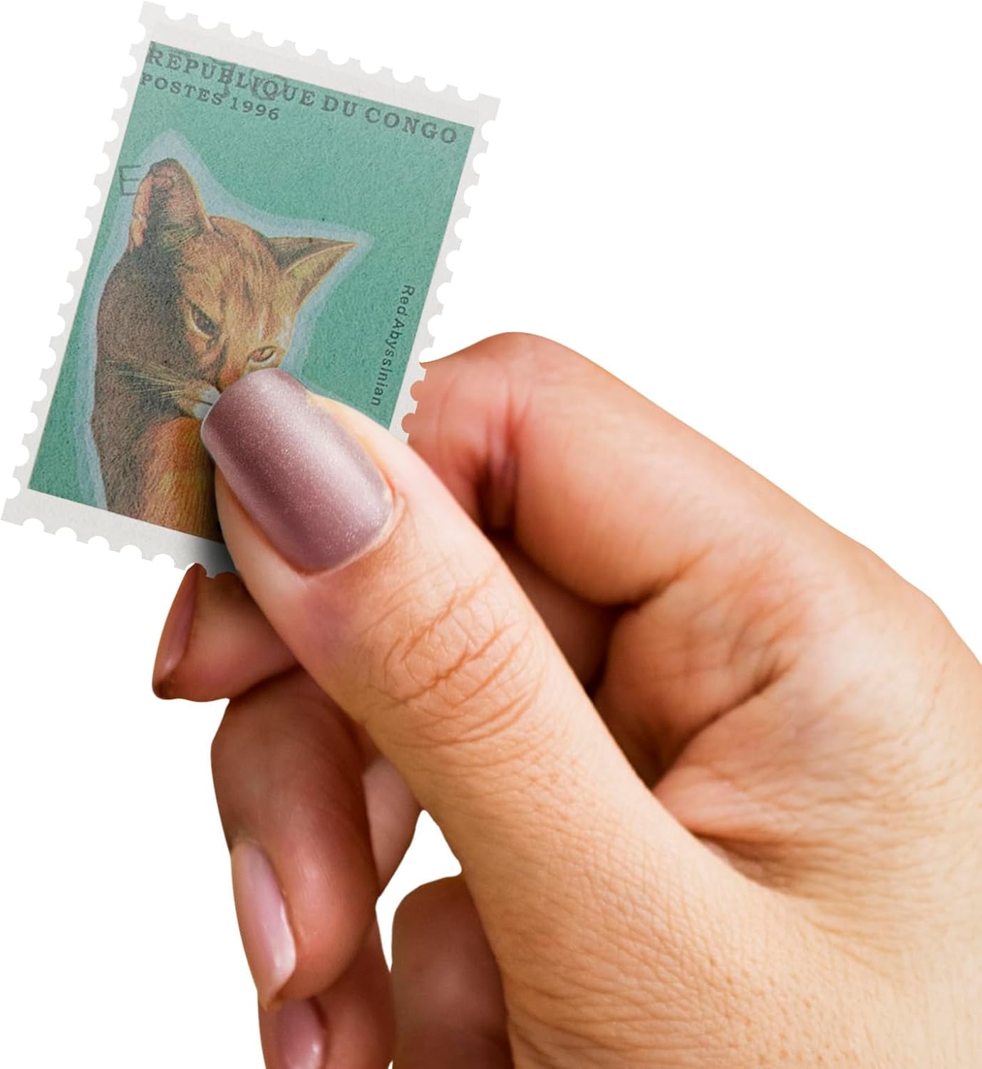 100 Dog & Cat Stamps Collection | Collector Album Included