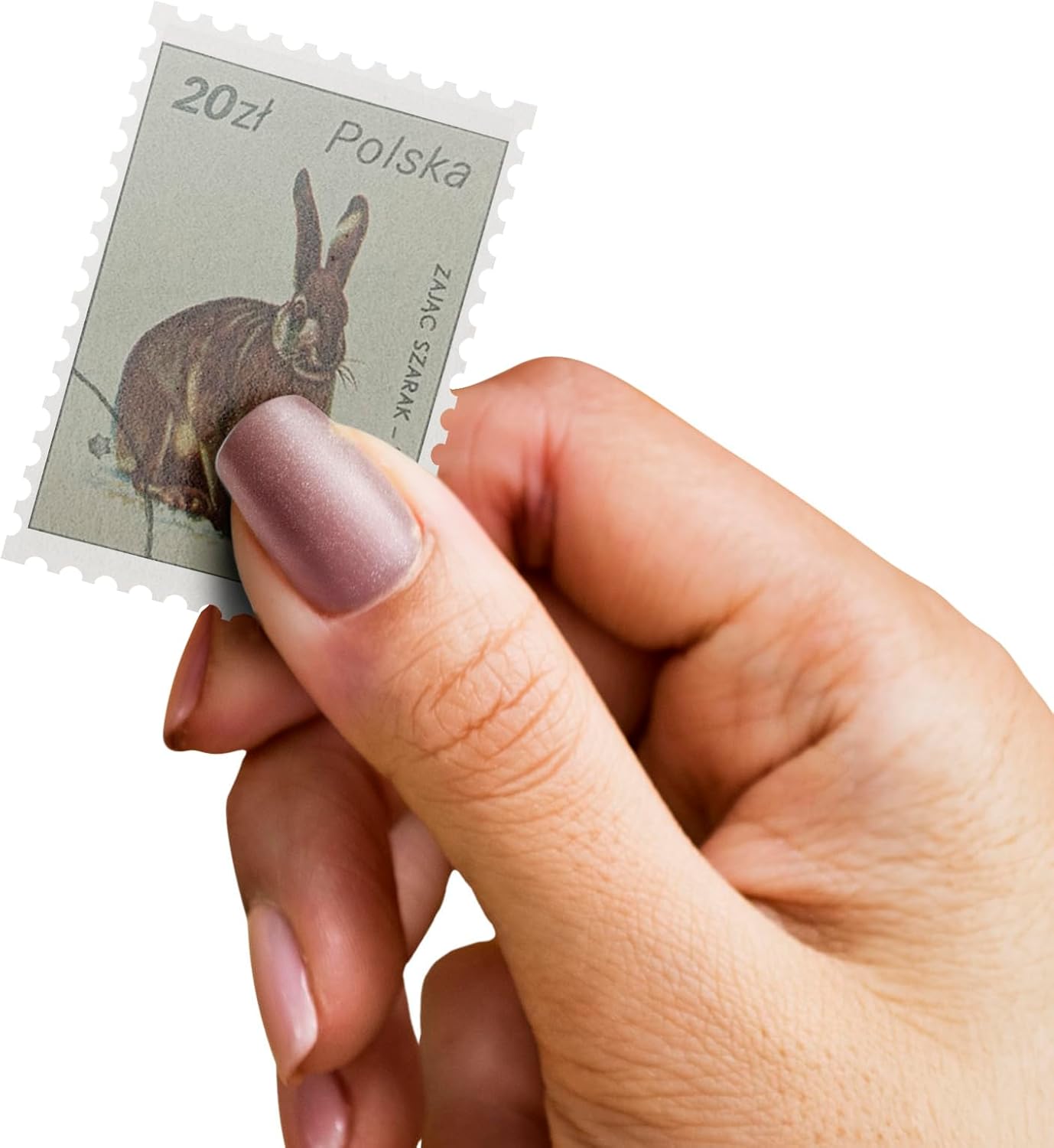 100 Animal Stamps Collection | Collector Album Included