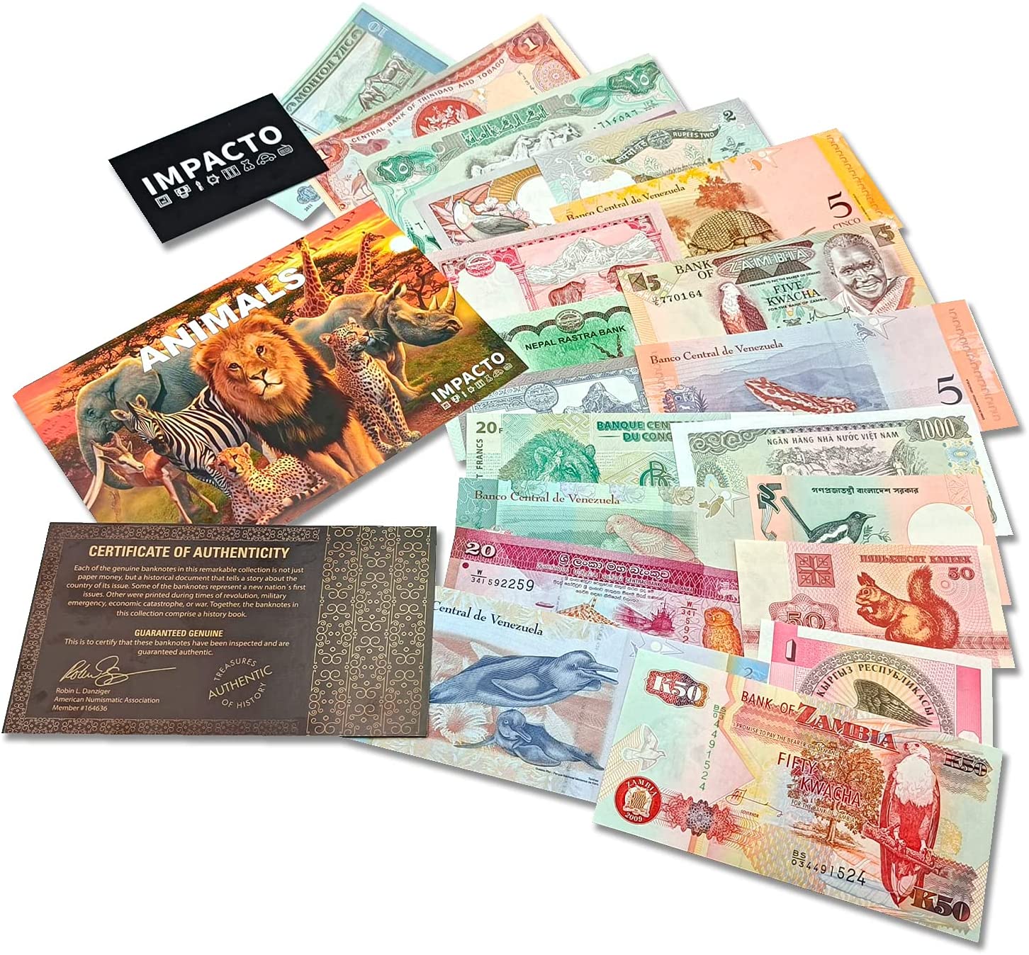 IMPACTO COLECCIONABLES Coin Collection - World Currency Treasure Chest with  2Lb. - Collectible Circulated Coins - 4.7 x 3.5 x 3.5 Decorative Wooden